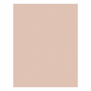 3M™ 7000000286 Lapping Film Sheet, 11 in OAL x 8-1/2 in OAW, 5 micron Grit, Ultra Fine Grade, Aluminum Oxide Abrasive, 3 mil Polyester Film Backing